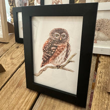 Afbeelding in Gallery-weergave laden, Zwart houten A6 lijstje met uil art print
