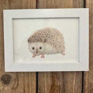 Wit houten A6 lijstje met egel art print