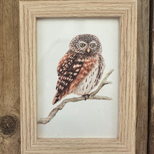 Afbeelding in Gallery-weergave laden, Blankhouten A6 lijstje met uil art print
