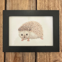 Afbeelding in Gallery-weergave laden, Zwart houten A6 lijstje met egel art print
