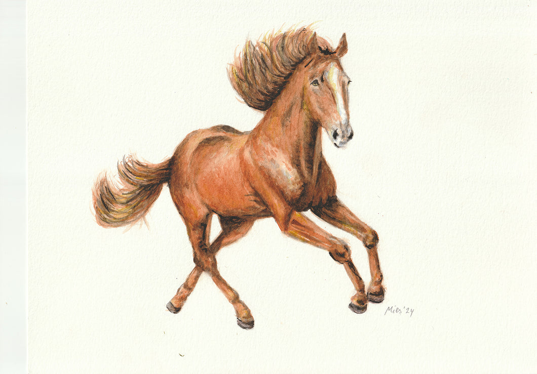 Origineel aquarel schilderij paard